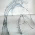 2004,_studio_di_figura,grafite_su_carta,_66x56.jpg
